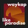 waykap - Like Paradise (feat. Christine Smit) - Single